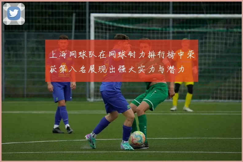 上海网球队在网球耐力排行榜中荣获第八名展现出强大实力与潜力