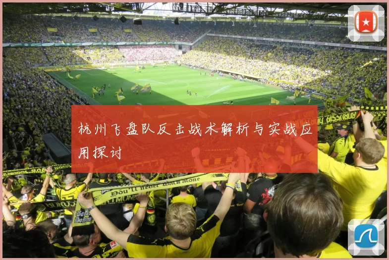 杭州飞盘队反击战术解析与实战应用探讨