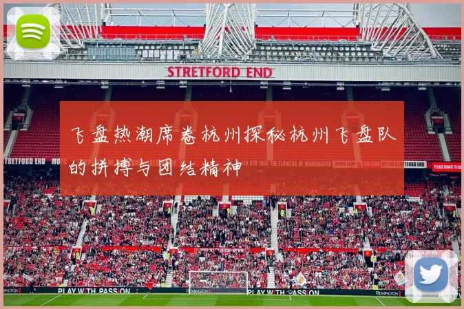 飞盘热潮席卷杭州探秘杭州飞盘队的拼搏与团结精神