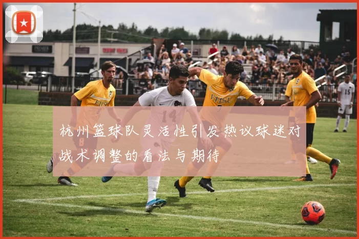 杭州篮球队灵活性引发热议球迷对战术调整的看法与期待
