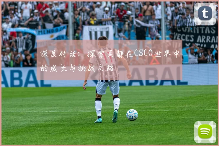 深度对话：探索吴静在CSGO世界中的成长与挑战之路