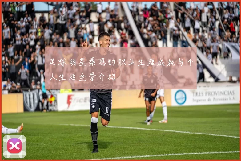 足球明星桑恩的职业生涯成就与个人生活全景介绍