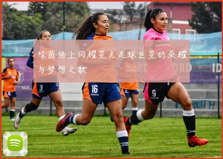 绿茵场上闪耀星光足球巨星的荣耀与梦想之歌