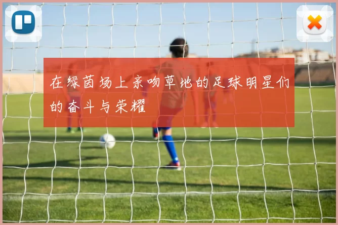 在绿茵场上亲吻草地的足球明星们的奋斗与荣耀