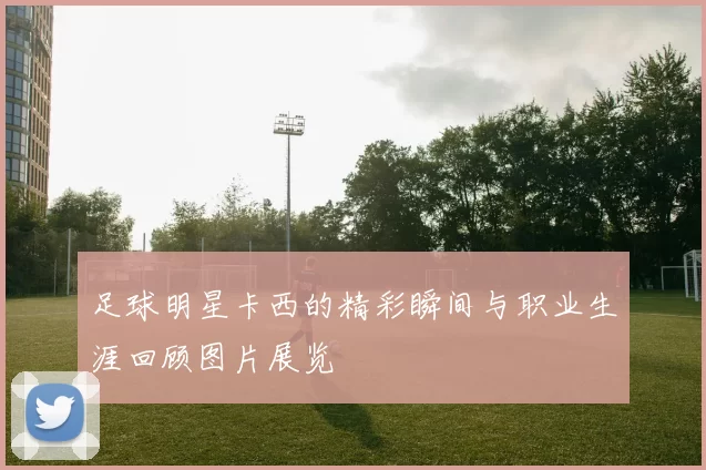 足球明星卡西的精彩瞬间与职业生涯回顾图片展览
