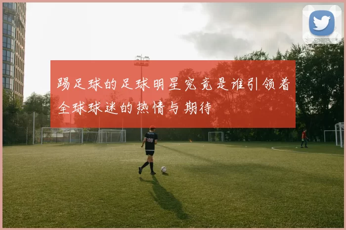 踢足球的足球明星究竟是谁引领着全球球迷的热情与期待