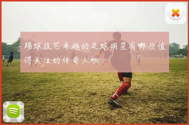 踢球技艺卓越的足球明星有哪些值得关注的传奇人物