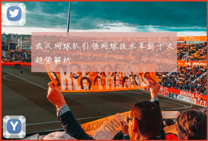 武汉网球队引领网球技术革新十大趋势解析