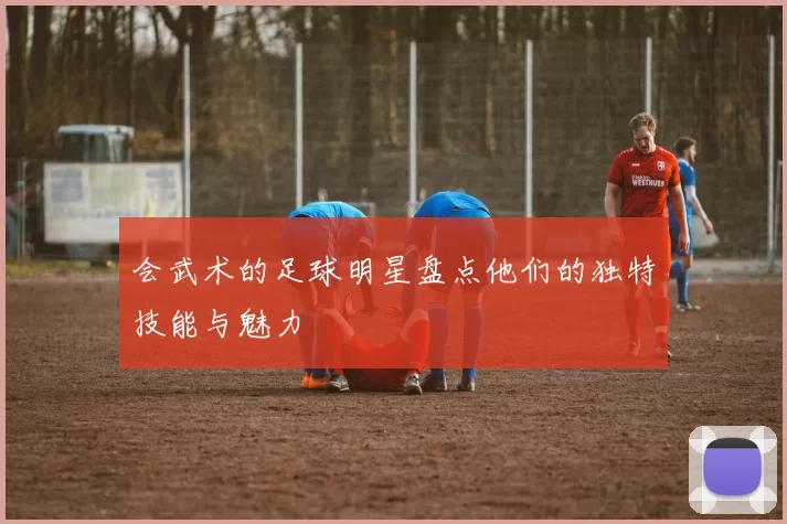 会武术的足球明星盘点他们的独特技能与魅力