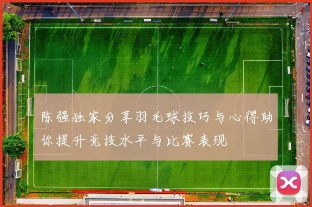 陈强独家分享羽毛球技巧与心得助你提升竞技水平与比赛表现